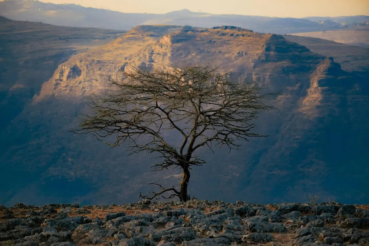 Mount Kilimanjaro Climb - Machame Route (7 Days)