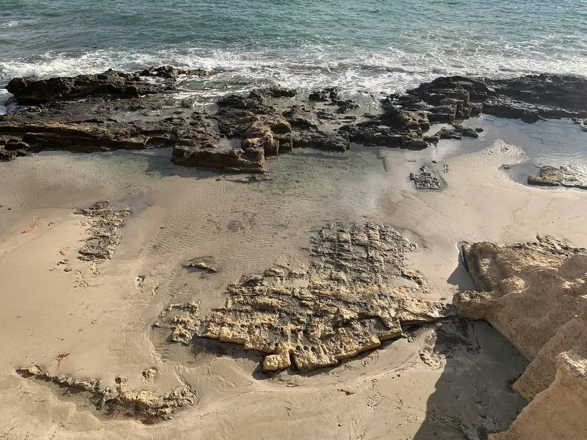 Mediterranean African Shores