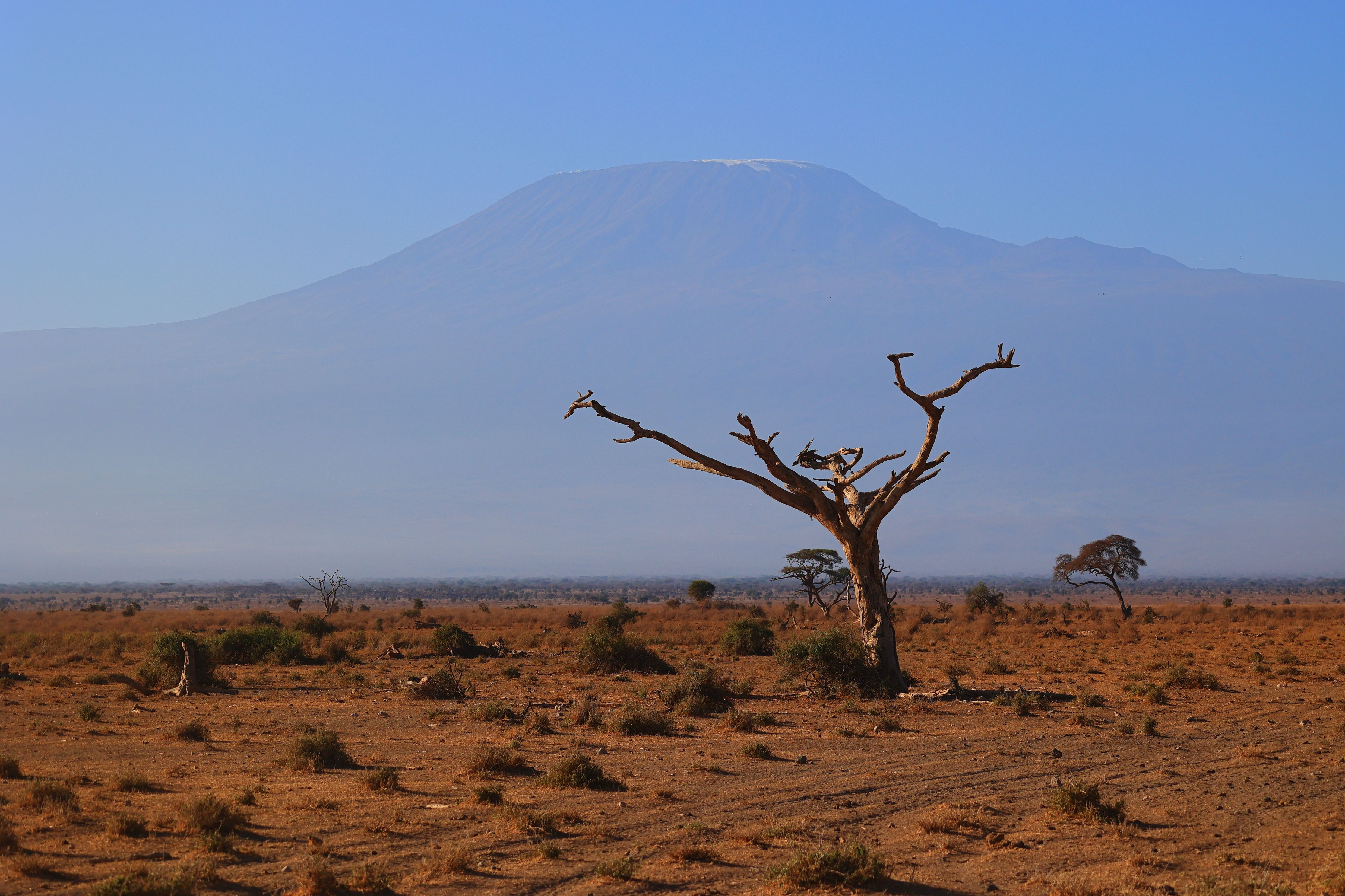 Mount Meru & Kilimanjaro Combo (14 Days)