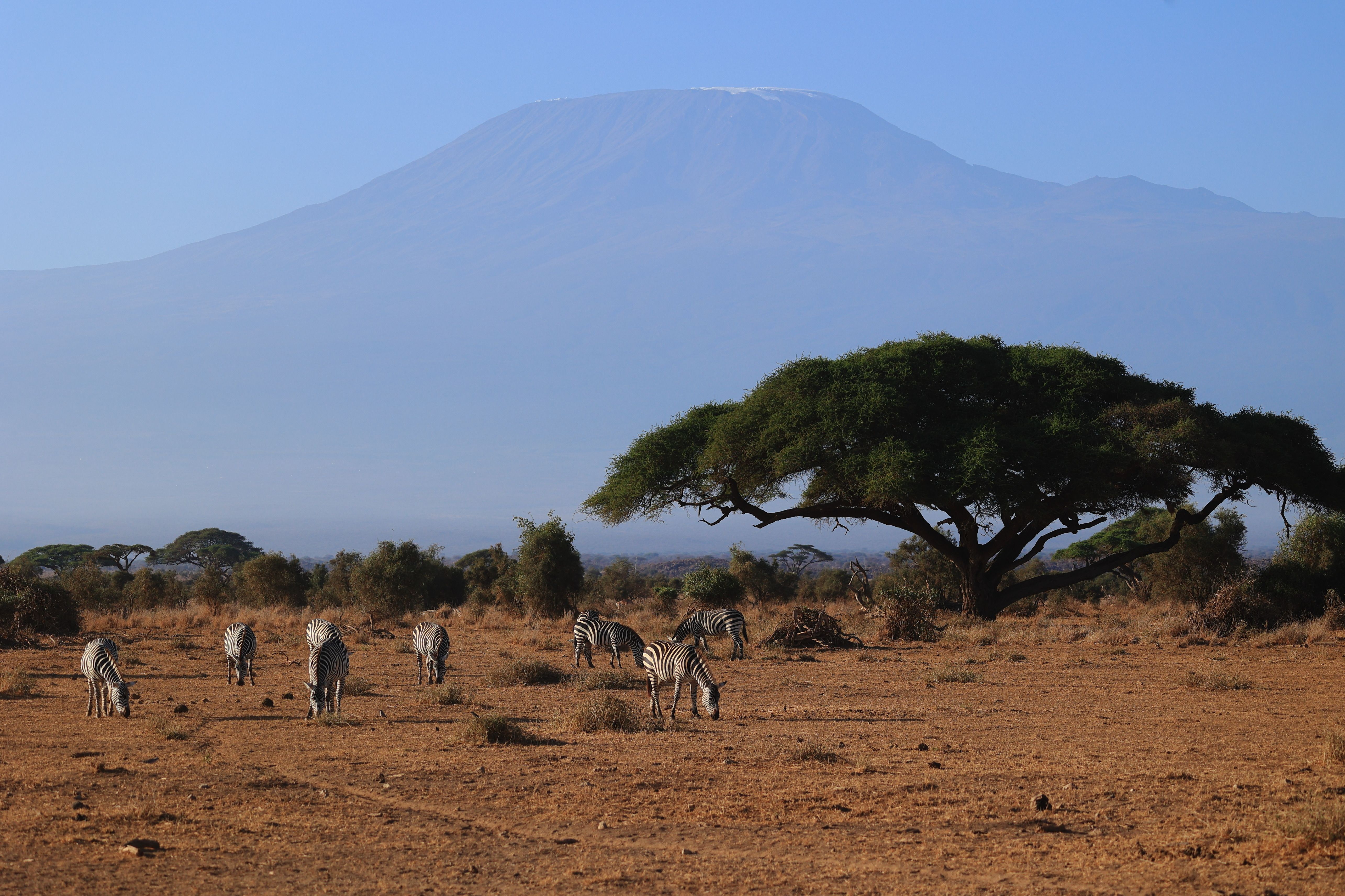 Mount Meru Climb - Momella Route (4 Days)