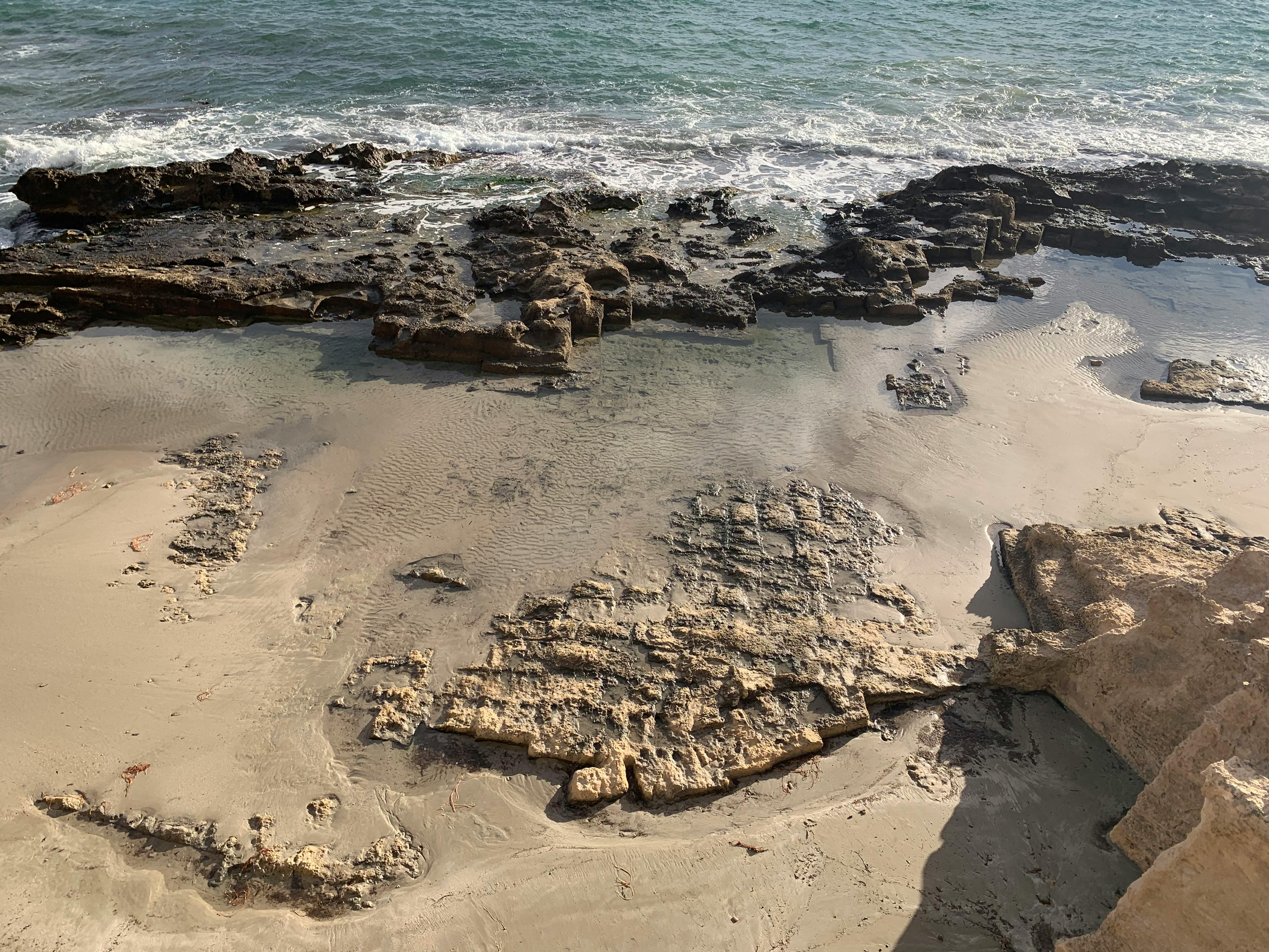 Mediterranean African Shores