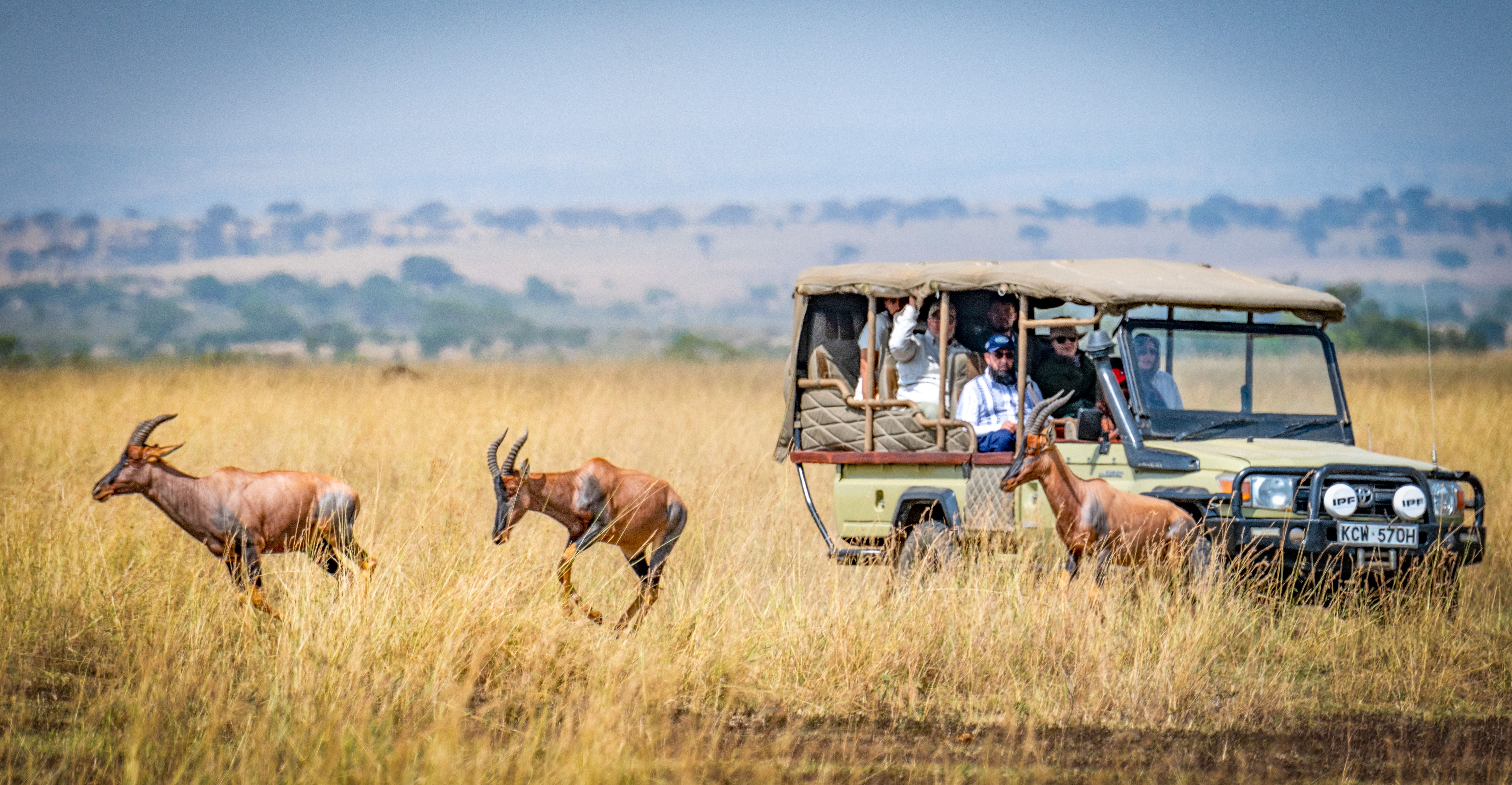 Best Time to Visit Kenya: A Month-by-Month Safari Guide