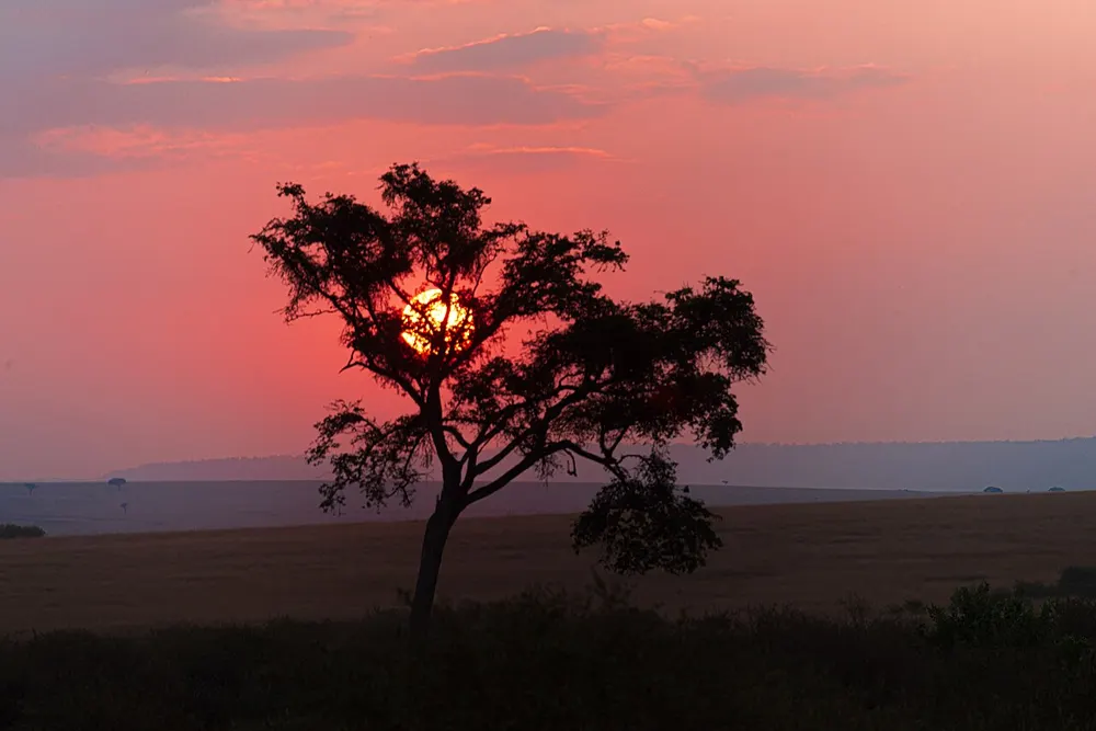 Christmas and Festive Holiday Packages in Kenya