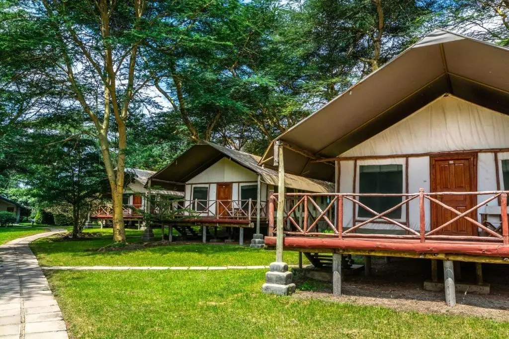 Tented rooms on raised decks among the acacia trees at Lake Naivasha Crescent Camp