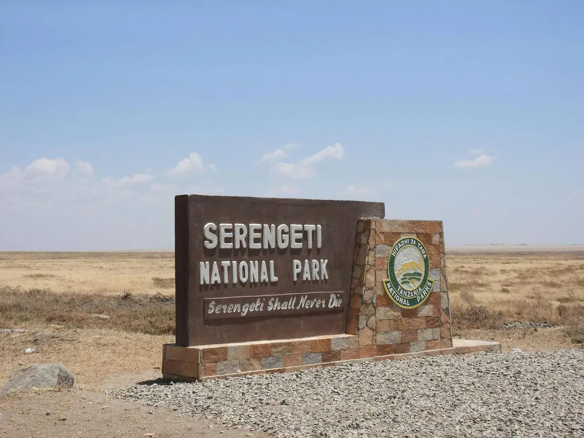 Vidokezo 10 Muhimu vya Safari kwa Wageni wa Mara ya Kwanza Kenya
