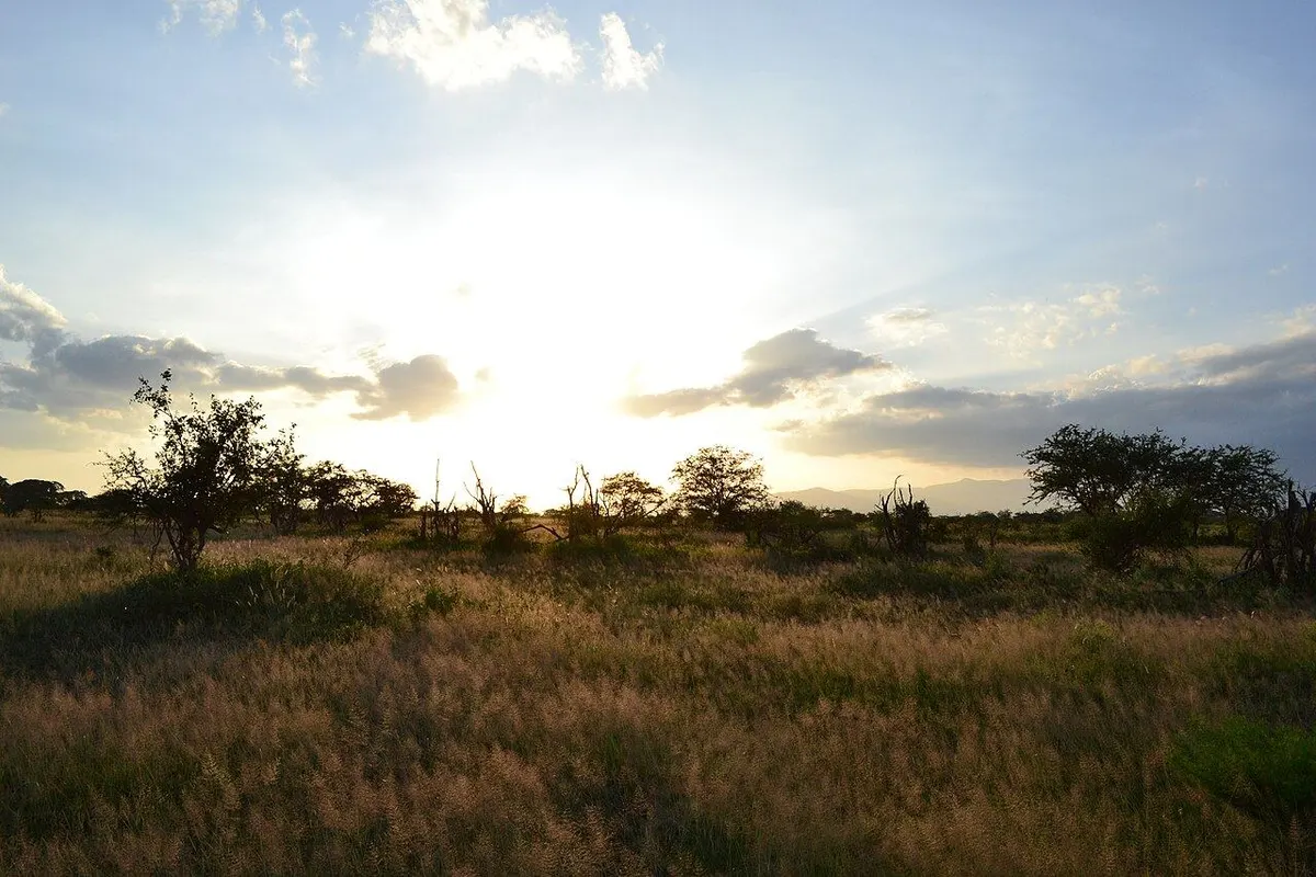 Sunset from the camp. Photo: CT Cooper, CC BY 3.0, via Wikimedia Commons