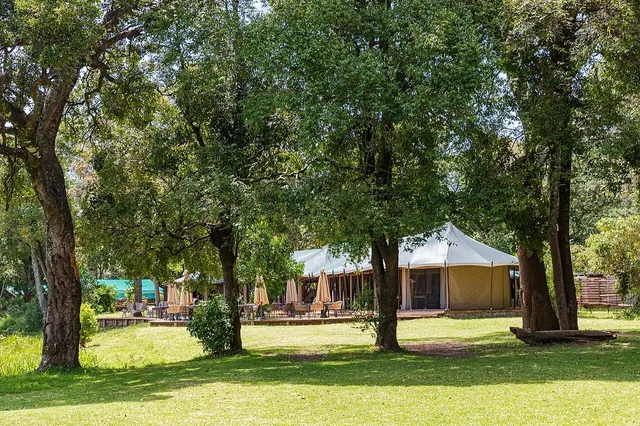 Little Governors' Camp