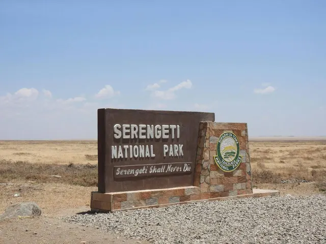 Les 10 conseils essentiels pour un premier safari au Kenya