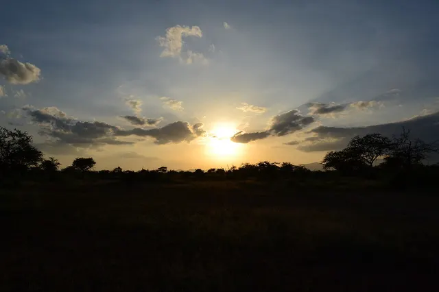 Evening light over the Tsavo West plains. Photo: CT Cooper, CC BY 3.0, via Wikimedia Commons
