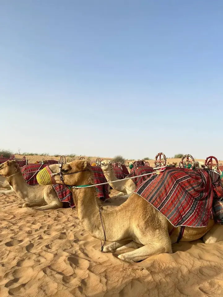 Internationale Touren
