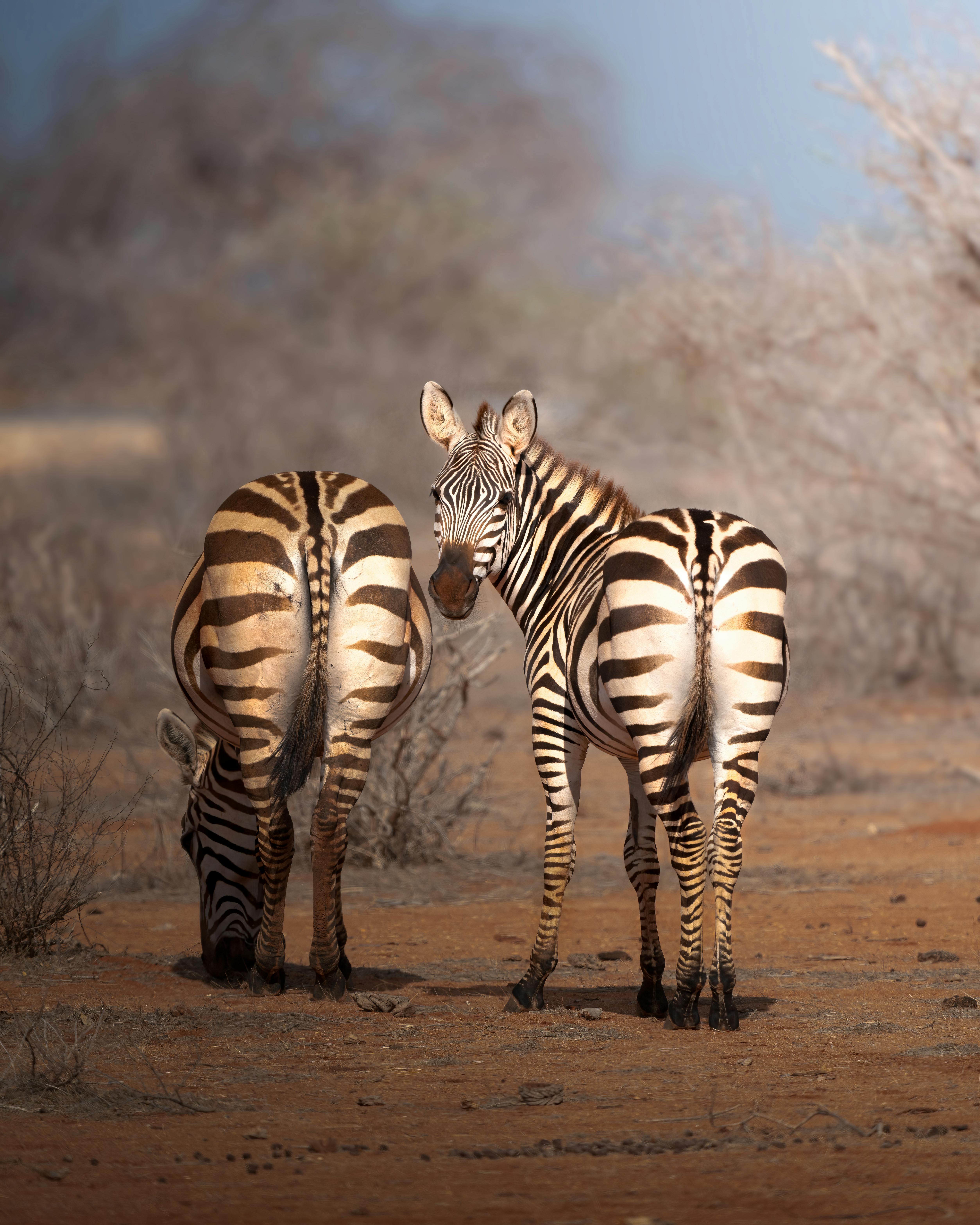 West Africa Tours