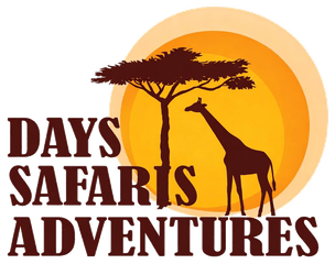 Days Safaris Adventures logo