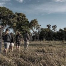 Kalahari Botswana Kalahari Botswana