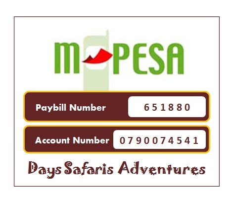 Days Safaris Adventures Lipa na Mpesa